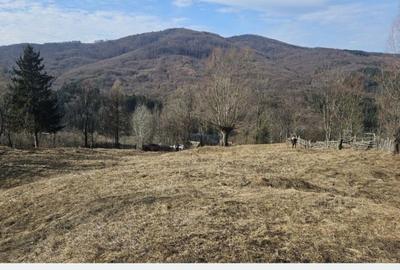 Spațiu comercial, în Secăria - 3