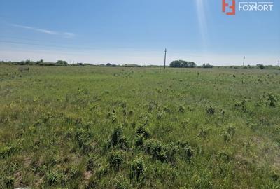 Teren Construcții extravilan de 5000 mp, în Moșnița Veche - 2