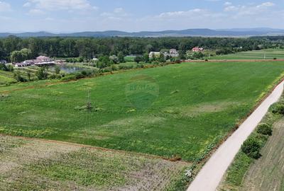 DN11 | 45.000 mp industrial | Front 155 ml | PUZ aprobat | UAT Prejmer - 4