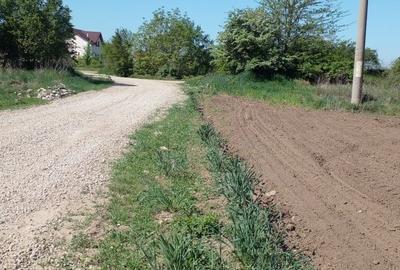 Teren Construcții extravilan de 4881 mp, în Corbeanca Teren Construcții extravilan de 4881 mp, în Corbeanca - 8