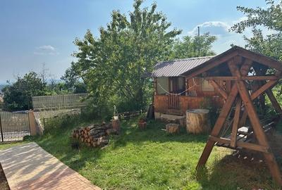 Casă cu 6 camere cu Teren 4650 Mp în Pruni - 15