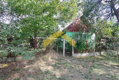 Casa de vanzare in Bodrogu Vechi - 8