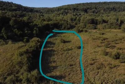 Teren de 5000 mp, în Feleacu