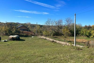 Teren de 2500 mp, în Gura Vitioarei - 4