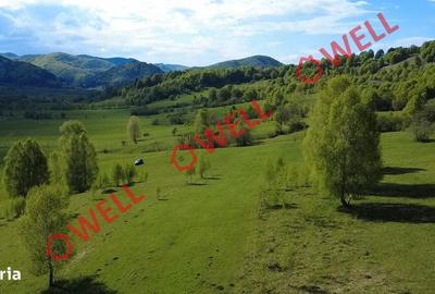 Spațiu comercial, în Vama Buzăului - 9