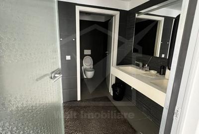 Birouri moderne zona FSEGA - Iulius Mall - 7