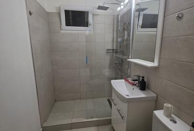 Garsonieră decomandată, mobilată în Dristor - 8