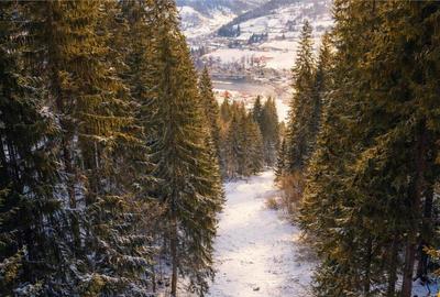 Teren de 7800 mp, în Lunca - 5