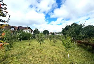 Vanzare teren investitie retail in Gura Humorului - Bld. Bucovinei - 7