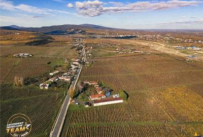 FILM! Domeniu de 4.000 mp intravilan+ casa boiereasca autentica,in podgoriile Odobesti,Vrancea - 4