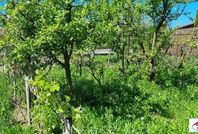 Casă cu Teren 1500 Mp în Lucian Blaga - 3