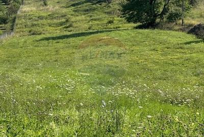 Teren 8,300mp Negresti (Dobreni) / Drumul DEALUL OTEL - 5