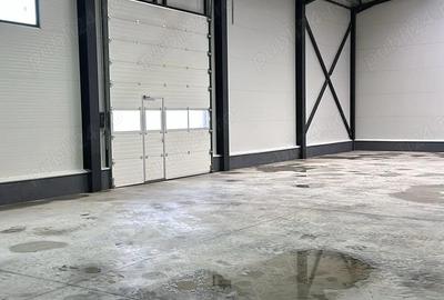 Inchiriem hala noua- prima inchiriere Chiajna - 6