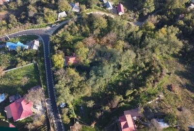 Casă cu mult teren,  sat Șerbănești, com. Corbița, jud. Vrancea Casă cu mult teren,  sat Șerbănești, com. Corbița, jud. Vrancea - 6