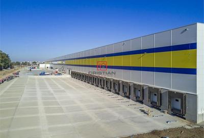 Spațiu comercial, de 4,500 mp, în Ștefăneștii de Jos - 1