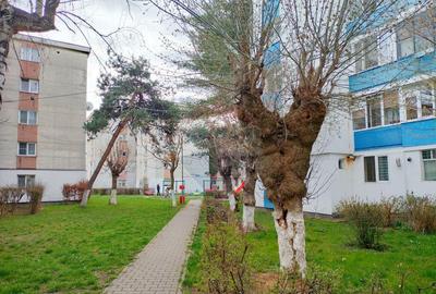 Apartament trei camere Iernuteni- Reghin - 9