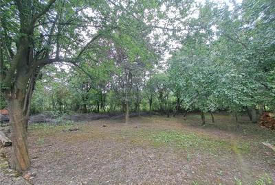 RECO Casa la Tria - 7