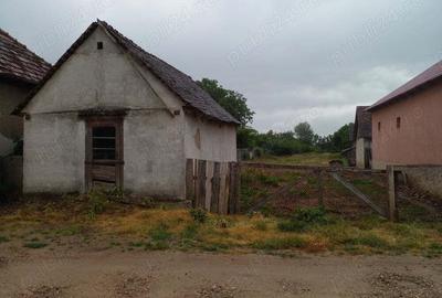 Vand casa cu teren in Taut, com.Batar, jud. Bihor - 4