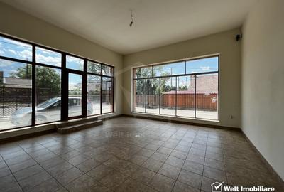 Showroom cu depozit, acces TIR, str Plevnei zona Sanex - 1