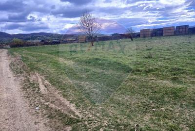 Teren Construcții intravilan de 1715 mp, în Central - 2
