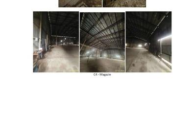 Proprietate imobiliara in Com. Rosiesti, jud. Vaslui - 3