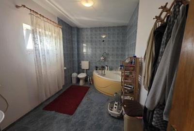 Casă cu 9 camere cu Garaj în Dristor - 2