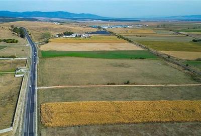 FILM! 60.000 mp, teren intravilan, acces la DN1, Codlea, Brasov - 9