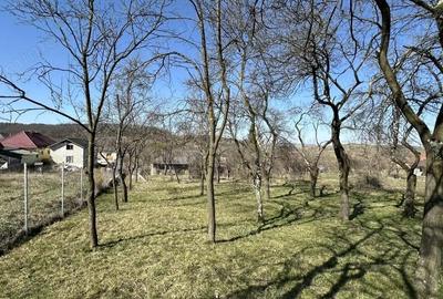 Casă cu 3 camere în Mânău - 2