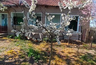 Casă cu 4 camere în Moroda - 3