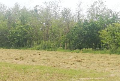 Casă cu 1 camere cu Teren 2500 Mp în Radu Vodă - 6