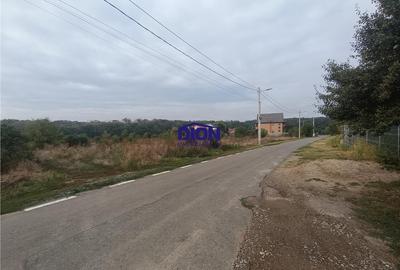 TEREN INTRAVILAN 726 MP S. BRANESTI - 2