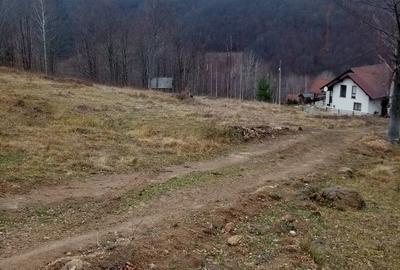 Teren de 10000 mp, în Lepșa - 2