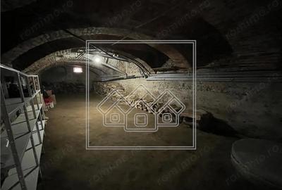 Casa individuala 4 camere, pod, curte 463 mp, pivnita - Apoldu de Jos - 5