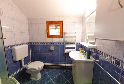 Casa cu 5 dormitoare, foisor, sauna, beci,pod garaj si gradina - 47