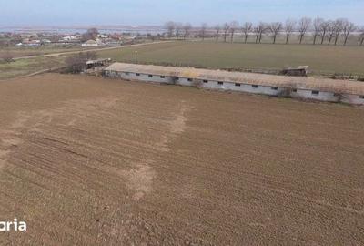 Teren de 4300 mp, în Jurilovca - 4