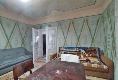 Casă cu 4 camere cu Teren 4122 Mp în Petid - 16