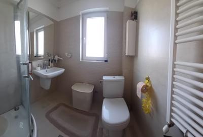 Chitila zona verde lângă parc. Chitila zona verde lângă parc. - 8