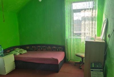 Casă cu Teren 1420 Mp în Beba Veche - 3