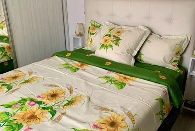 Apartament cu 2 camere decomandat în Calea Urseni - 5