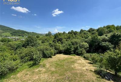 Casa semifinisata V. Ghinzii teren 18 arii - 6