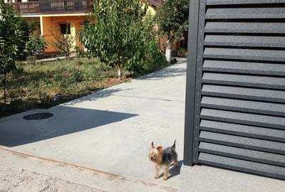 Casa central in Verne?ti Buzau - 5
