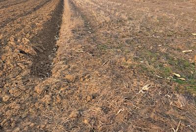 Spațiu comercial, în Marginea