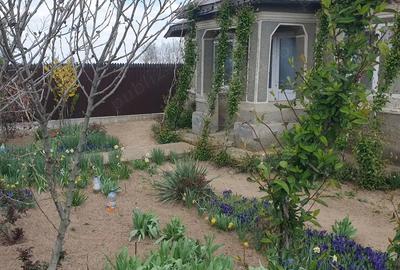 Vand casa la tara Vand casa la tara - 11