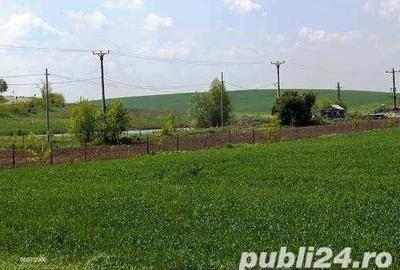 Teren de 45000 mp, în Central - 2