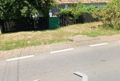 Teren de 10000 mp, în Valea Lupului - 3