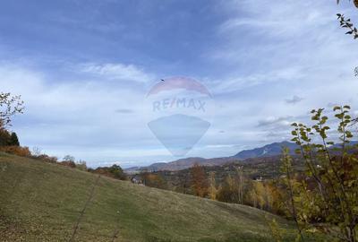 Teren de Vis in Bran - 1000mp Plat, Liniste Absoluta si Aer Curat - 6