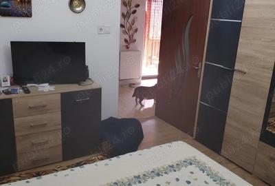 Casa caramida Palas, 4 camere - 5