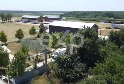Teren de 105000 mp, în Singureni - 7