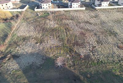 Teren Construcții intravilan de 1406 mp, în Moșnița Nouă - 3