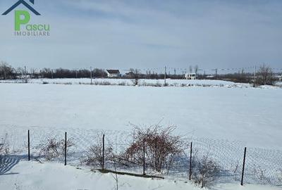 Magurele, str. Campul cu Maci, P+1 individual, 160 mpu, teren 300 mp - 18